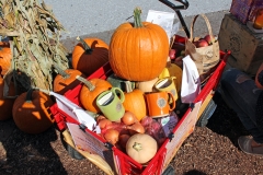 Harvest Wagon up for Raffle