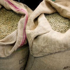 bags of green coffee