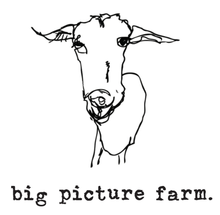 Big picture farm logo featuring a cow illustration.